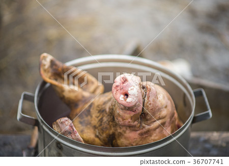 The pork head is in the pan, beheading, outdoors 36707741