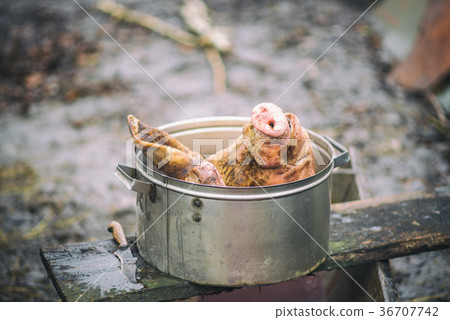 The pork head is in the pan, beheading, outdoors The pork head is in the pan, beheading, outdoors 36707742