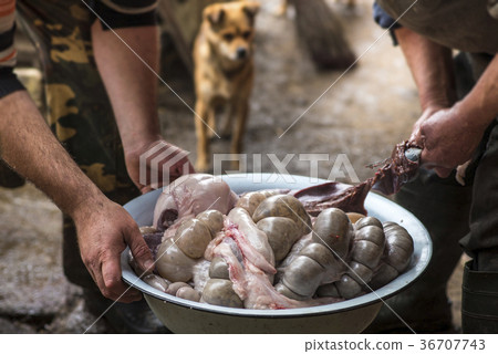 The butchers sort the pork inwards in a large bowl 36707743