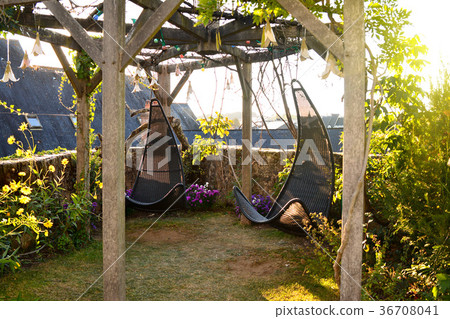 Wicker hanging chairs in the garden 36708041
