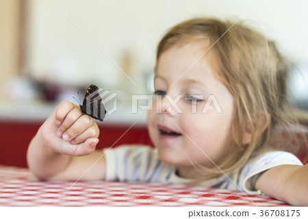 Little girl holds on hand the Aglais io butterfly Little girl holds on hand the Aglais io butterfly 36708175
