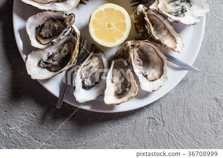Oysters on the plate 36708999