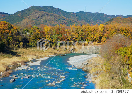 Nagasu和Nagasu的秋葉落下金石水橋 36709277