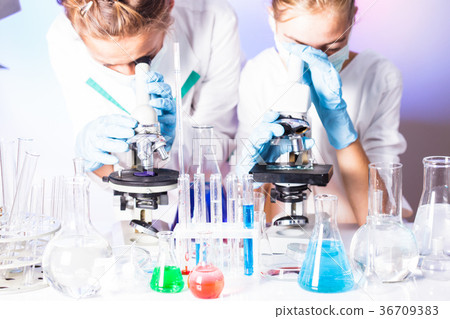 scientists in the chemical laboratory 36709383