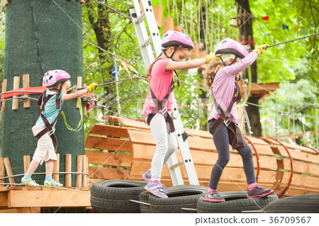 The obstacle course in adventure park  36709567