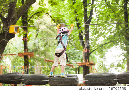 The obstacle course in adventure park  36709568