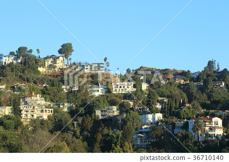 Landscape from Los Angeles / Hollywood (California, USA) Landscape from Los Angeles / Hollywood (California, USA) 36710140