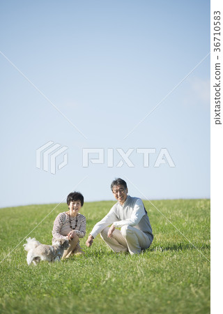 Smiling senior couple and dog in the meadow 36710583