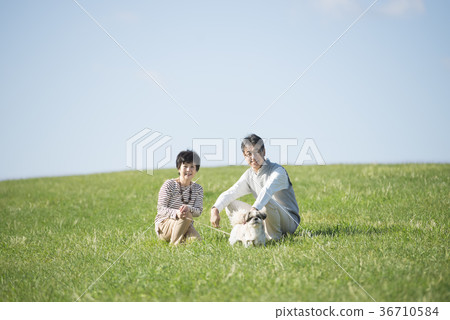 微笑的資深夫婦和狗在草甸 微笑的資深夫婦和狗在草甸 36710584