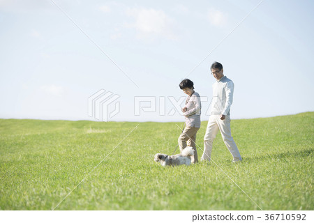 Senior couple taking a dog walk in the meadow Senior couple taking a dog walk in the meadow 36710592