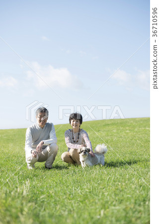 Smiling senior couple and dog in the meadow Smiling senior couple and dog in the meadow 36710596