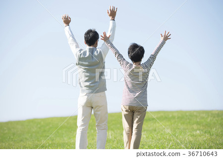 Rear view of senior couple raising their hands in the meadow 36710643