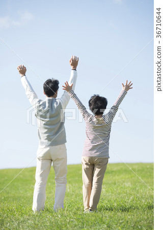 Rear view of senior couple raising their hands in the meadow 36710644