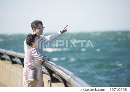 Senior couple looking at the sea 36710668