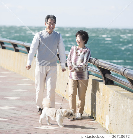 Senior couple walking a dog Senior couple walking a dog 36710672