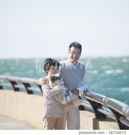 Smiling senior couple holding a dog Smiling senior couple holding a dog 36710673
