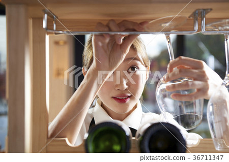 Sommelier, woman, professional Sommelier, woman, professional 36711347