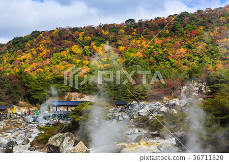 Unzen hell and autumn leaves silk hell Nagasaki Unzen hell and autumn leaves silk hell Nagasaki 36711820