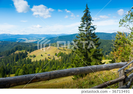 Mountain landscape in Bukovina, Romania 36713491