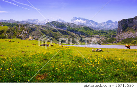 Summer landscape with lake Summer landscape with lake 36713580