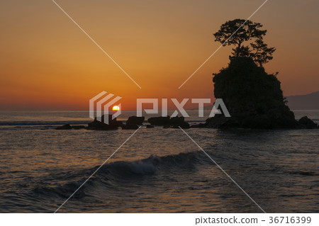 Ameya海岸的黎明 36716399