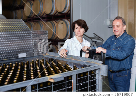 Expert and wine maker inspect containers with bottles Expert and wine maker inspect containers with bottles 36719007