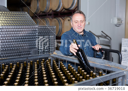 Cheerful wine maker inspect containers Cheerful wine maker inspect containers 36719018