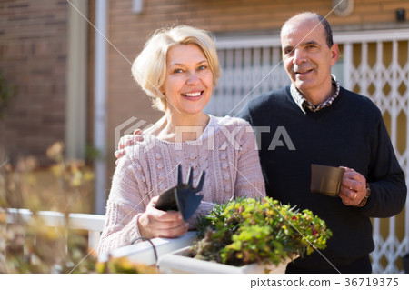 Elderly spouses in patio Elderly spouses in patio 36719375