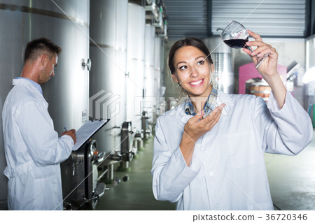 Portrait of happy woman looking at wine sample Portrait of happy woman looking at wine sample 36720346