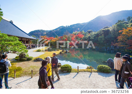 Tourists enjoy travel to Sogenchi pond garden Tourists enjoy travel to Sogenchi pond garden 36723256