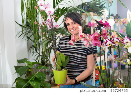 Happy woman florist showing multicolored phalaenopsis flowers 36724765