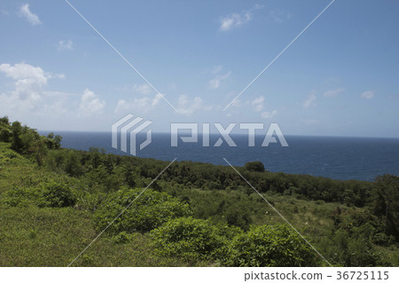 關島沿海路邊風景 關島沿海路邊風景 36725115