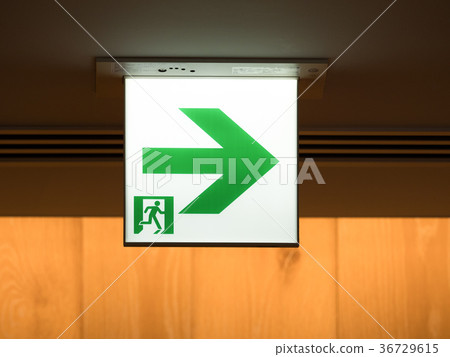 Emergency exit guide plate 36729615