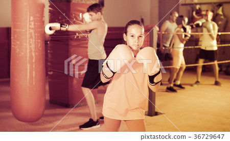 Girl in gloves posing during boxing training at gym 36729647