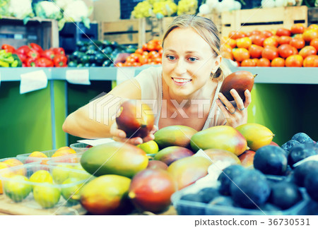 young woman customer choosing ripe mango fruit on market young woman customer choosing ripe mango fruit on market 36730531