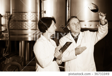 Two experts in winery Two experts in winery 36731049
