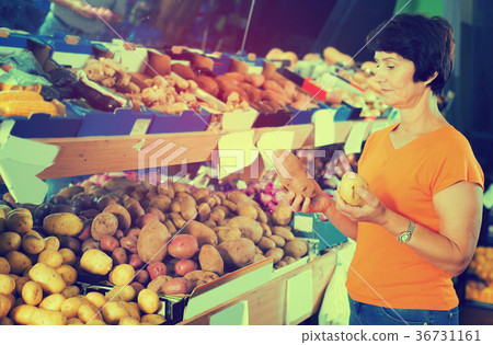 Glad woman is choosing potato in the store Glad woman is choosing potato in the store 36731161