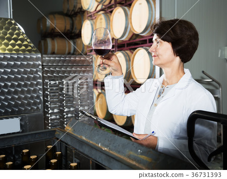 Sommelier woman on winery Sommelier woman on winery 36731393