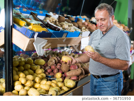 Glad man is choosing potato in the store Glad man is choosing potato in the store 36731950