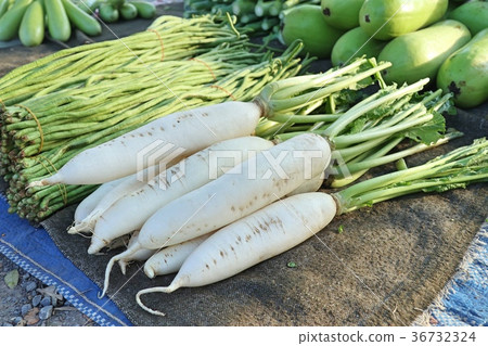 radish at street food 36732324