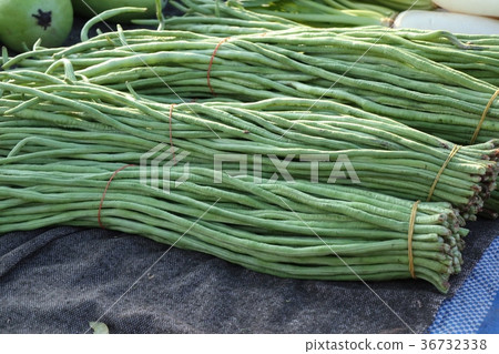 Long beans at market 36732338