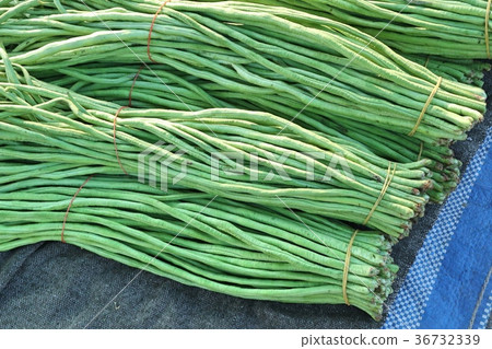 Long beans at market 36732339