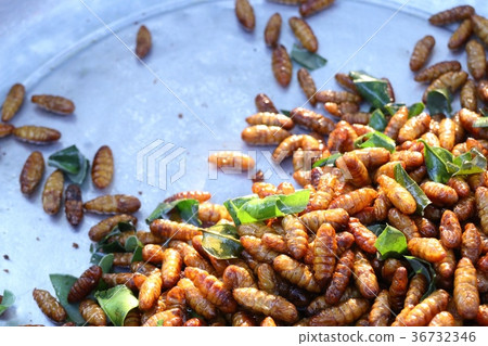 Fried Insect at street food 36732346