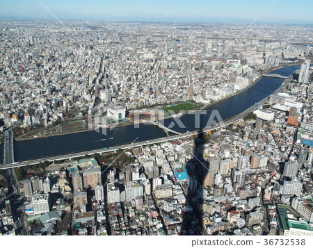 Tokyo Sky Tree Tokyo Sky Tree 36732538