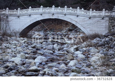 Spring in South Korea 36732828