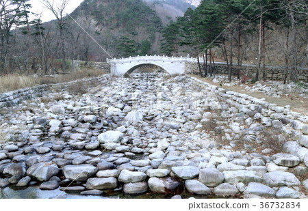 Spring in South Korea Spring in South Korea 36732834
