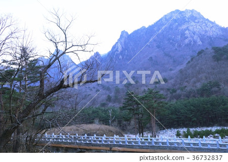 Spring in South Korea Spring in South Korea 36732837