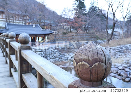 wooden bridge in spring 36732839