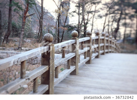 wooden bridge in spring 36732842