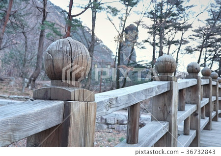 wooden bridge in spring 36732843